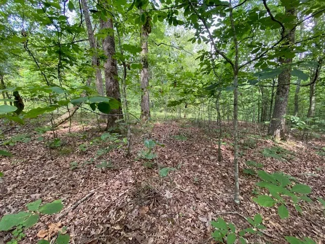 $10,000 | 0 Eagle Nest Lane, Big Sandy, TN 38221