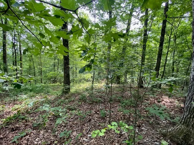 $10,000 | 0 Eagle Nest Lane, Big Sandy, TN 38221