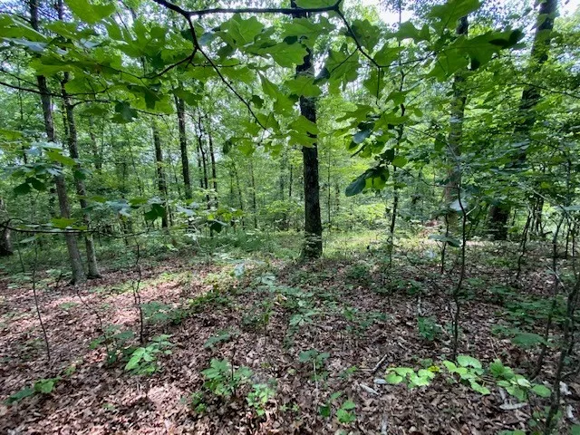 $10,000 | 0 Eagle Nest Lane, Big Sandy, TN 38221