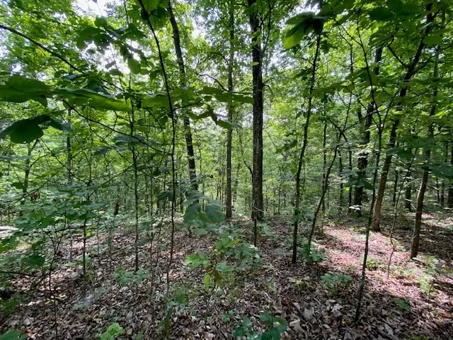 $10,000 | 0 Eagle Nest Lane, Big Sandy, TN 38221