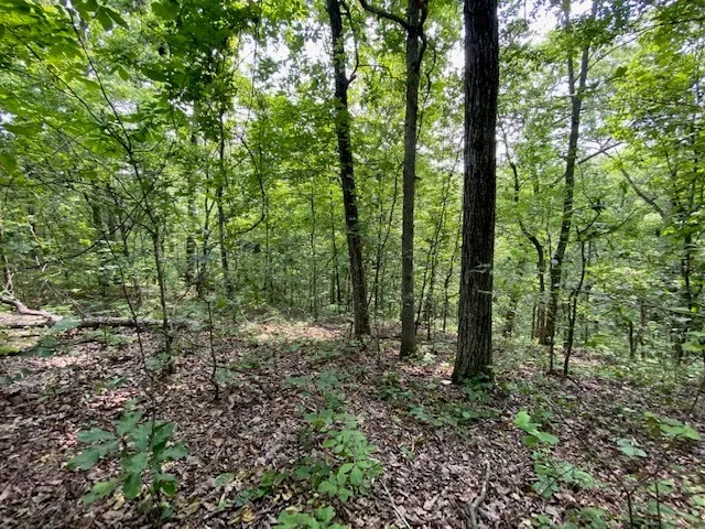 $10,000 | 0 Eagle Nest Lane, Big Sandy, TN 38221