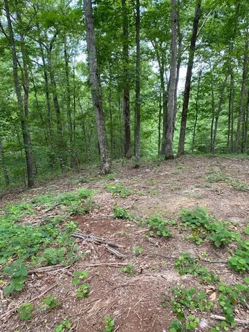 $10,000 | 0 Eagle Nest Lane, Big Sandy, TN 38221