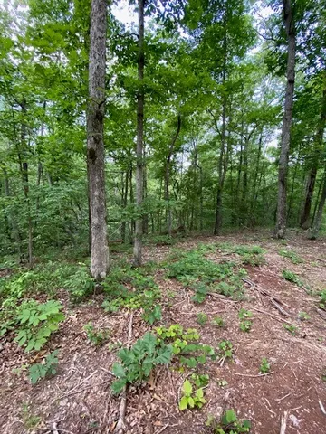 $10,000 | 0 Eagle Nest Lane, Big Sandy, TN 38221
