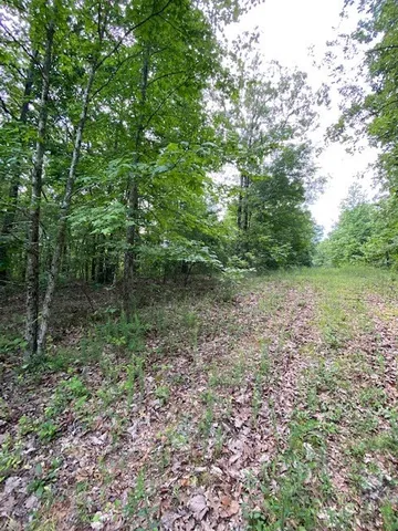 $10,000 | 0 Eagle Nest Lane, Big Sandy, TN 38221