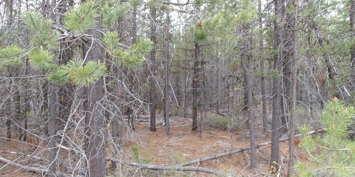 51313 Dianne Road La Pine, OR 97739 - Photo 1 of 4 Primary Photo