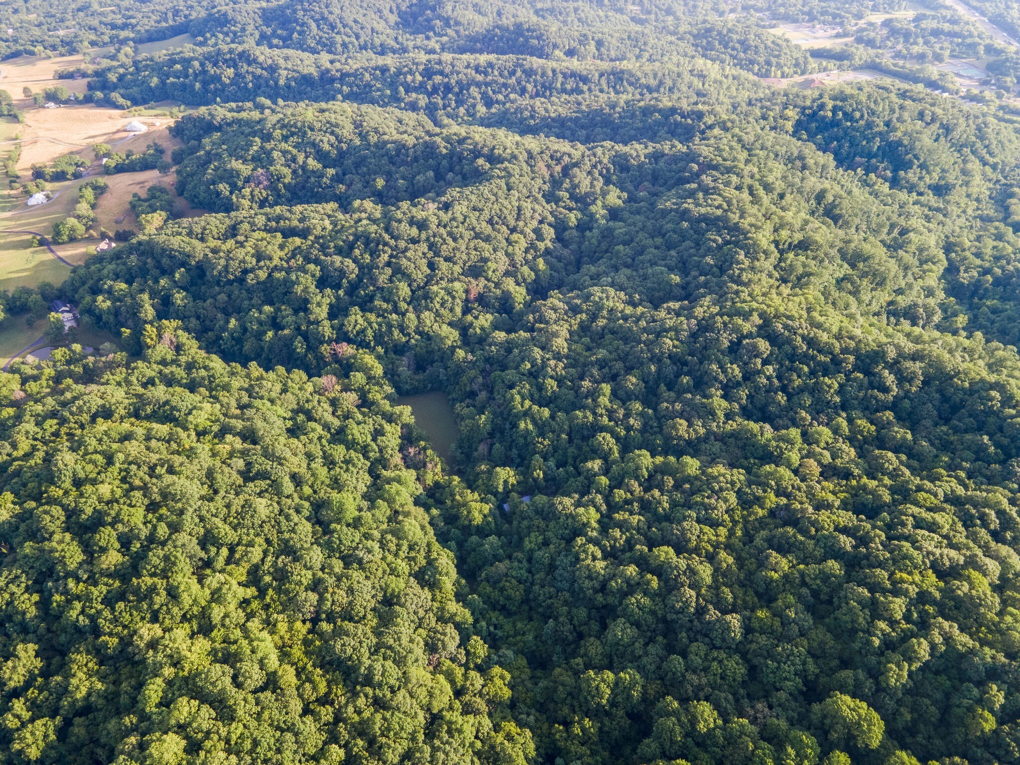 0 Patton Branch Road Goodlettsville, TN 37072 - Photo 11 of 22