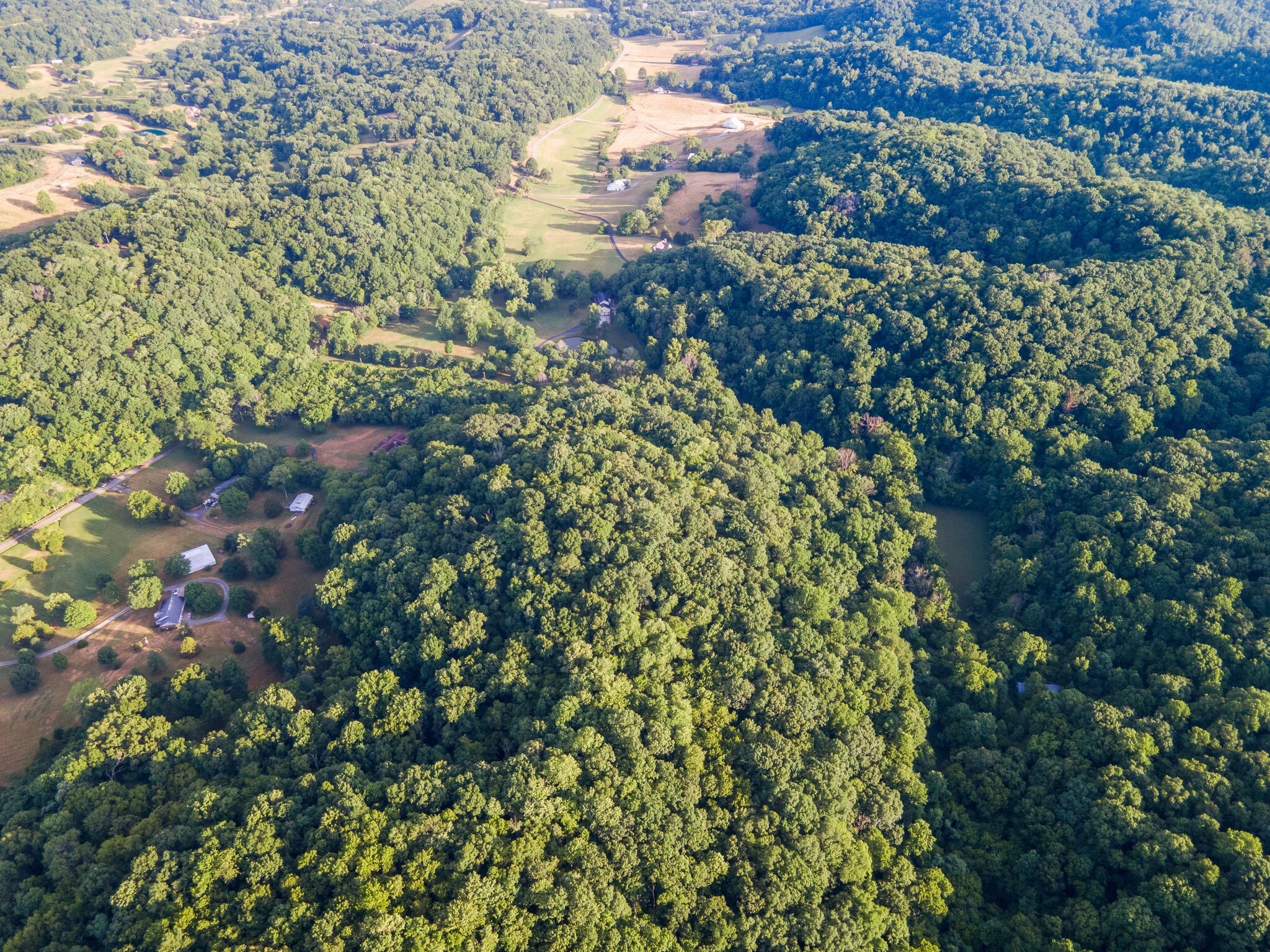 0 Patton Branch Road Goodlettsville, TN 37072 - Photo 12 of 22