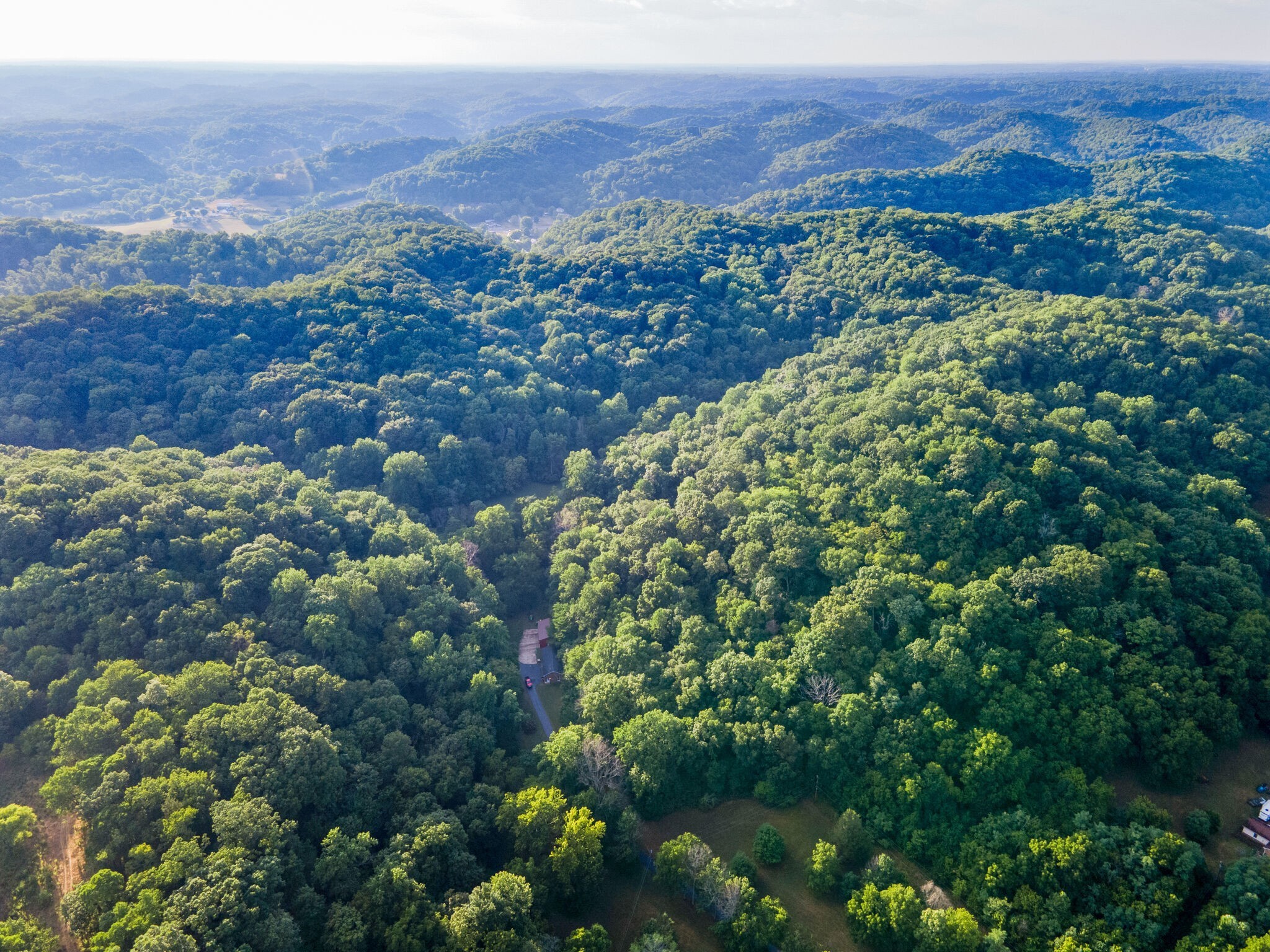 0 Patton Branch Road Goodlettsville, TN 37072 - Photo 16 of 22