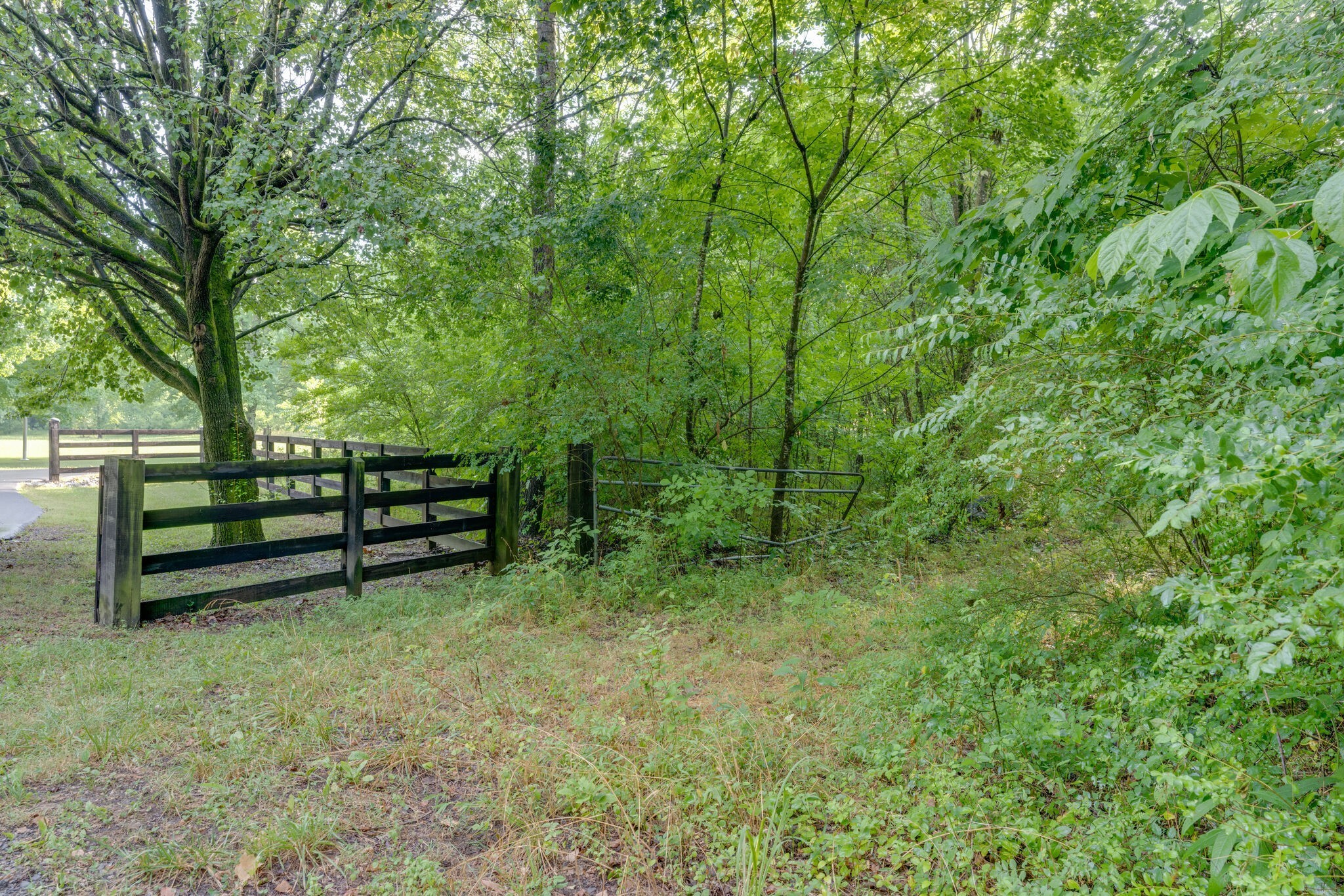 0 Patton Branch Road Goodlettsville, TN 37072 - Photo 3 of 22