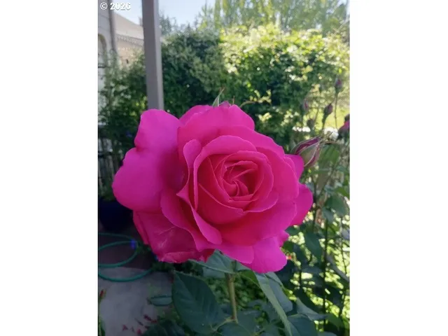 $260,000 | 2026 Lake Isle Drive, Eugene, OR 97401