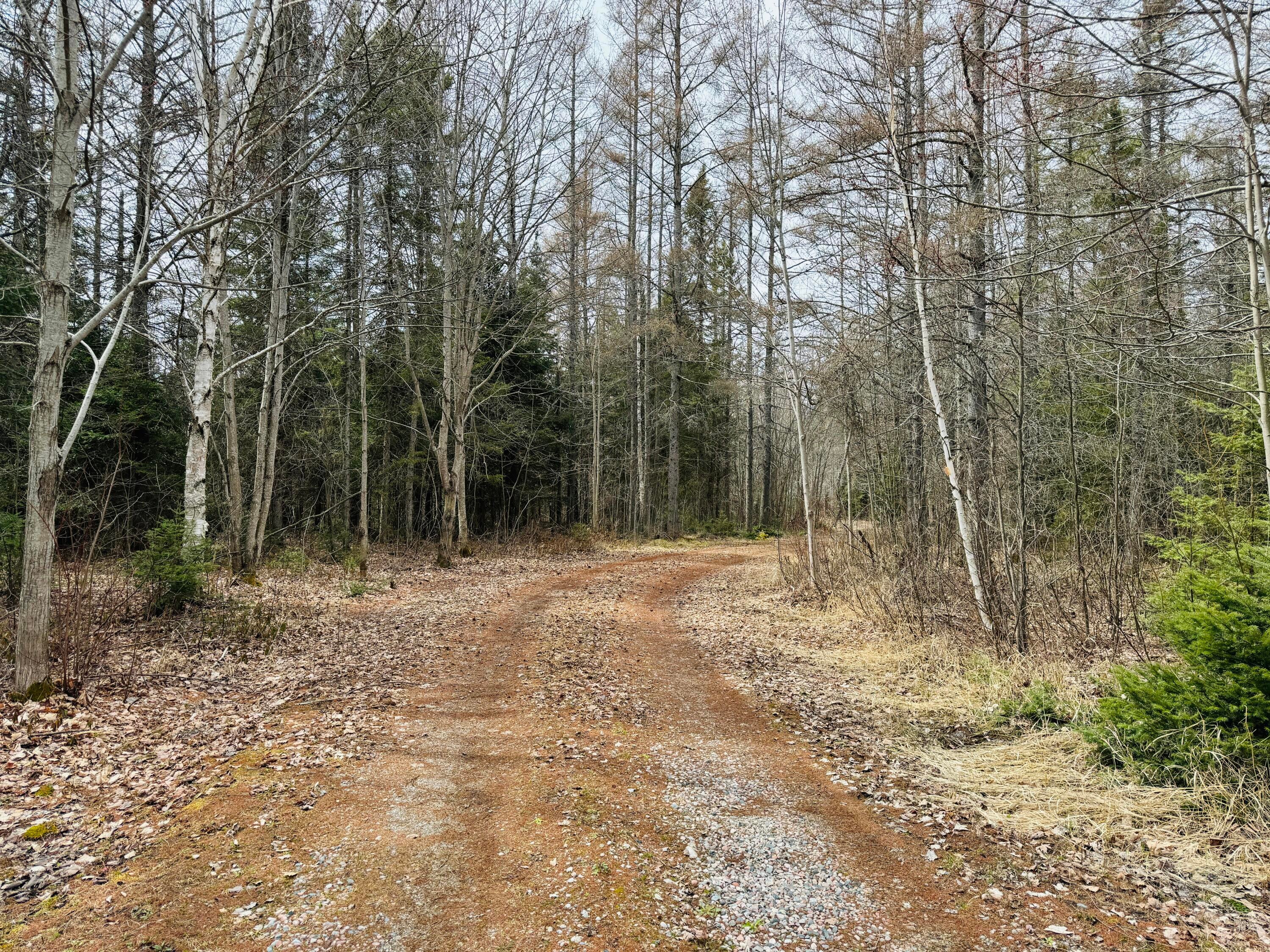0 South Ojala Road Brimley, MI 49715 - Photo 43 of 48 Gallery Image 43