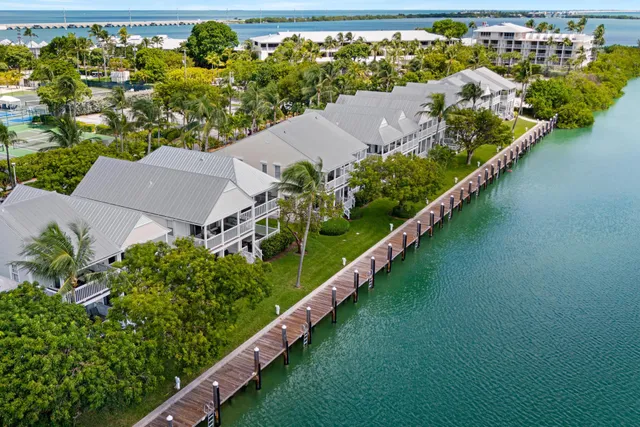 an aerial view of a house with a lake view