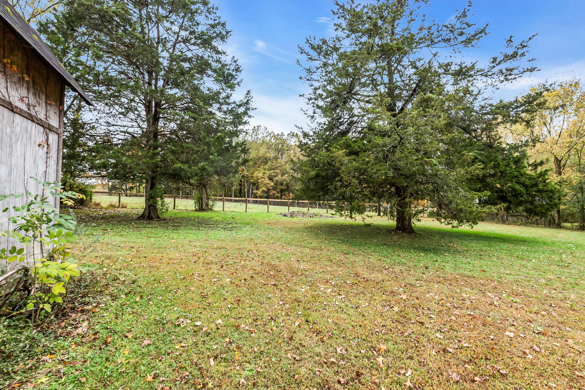 99 Anthony Mill Road Tullahoma, TN 37388 - Photo 35 of 37 a view of outdoor space with trees all around