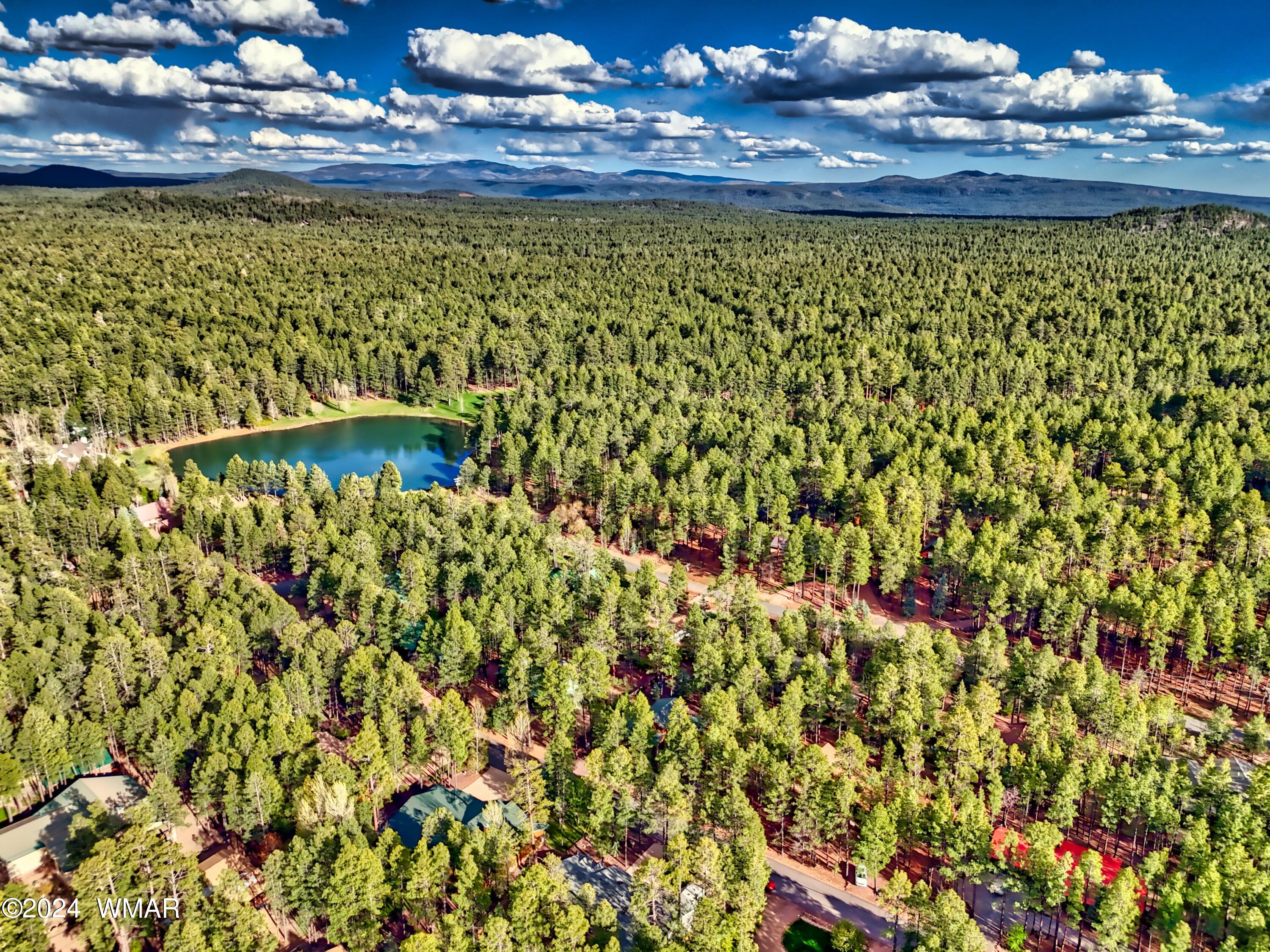 7850 White Oak Road Pinetop, AZ 85935 - Photo 5 of 60 Gallery Image 5