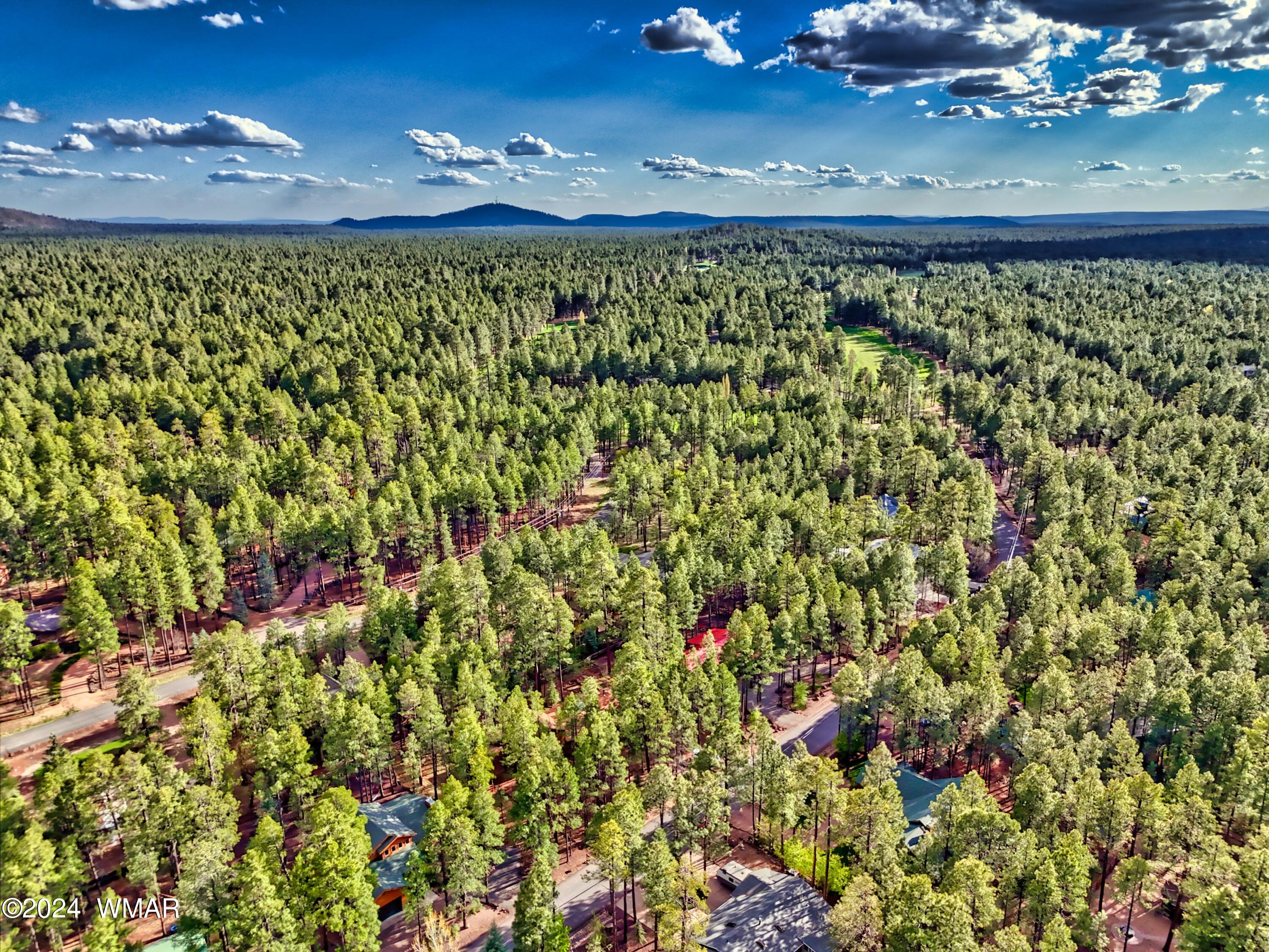 7850 White Oak Road Pinetop, AZ 85935 - Photo 6 of 60 Gallery Image 6