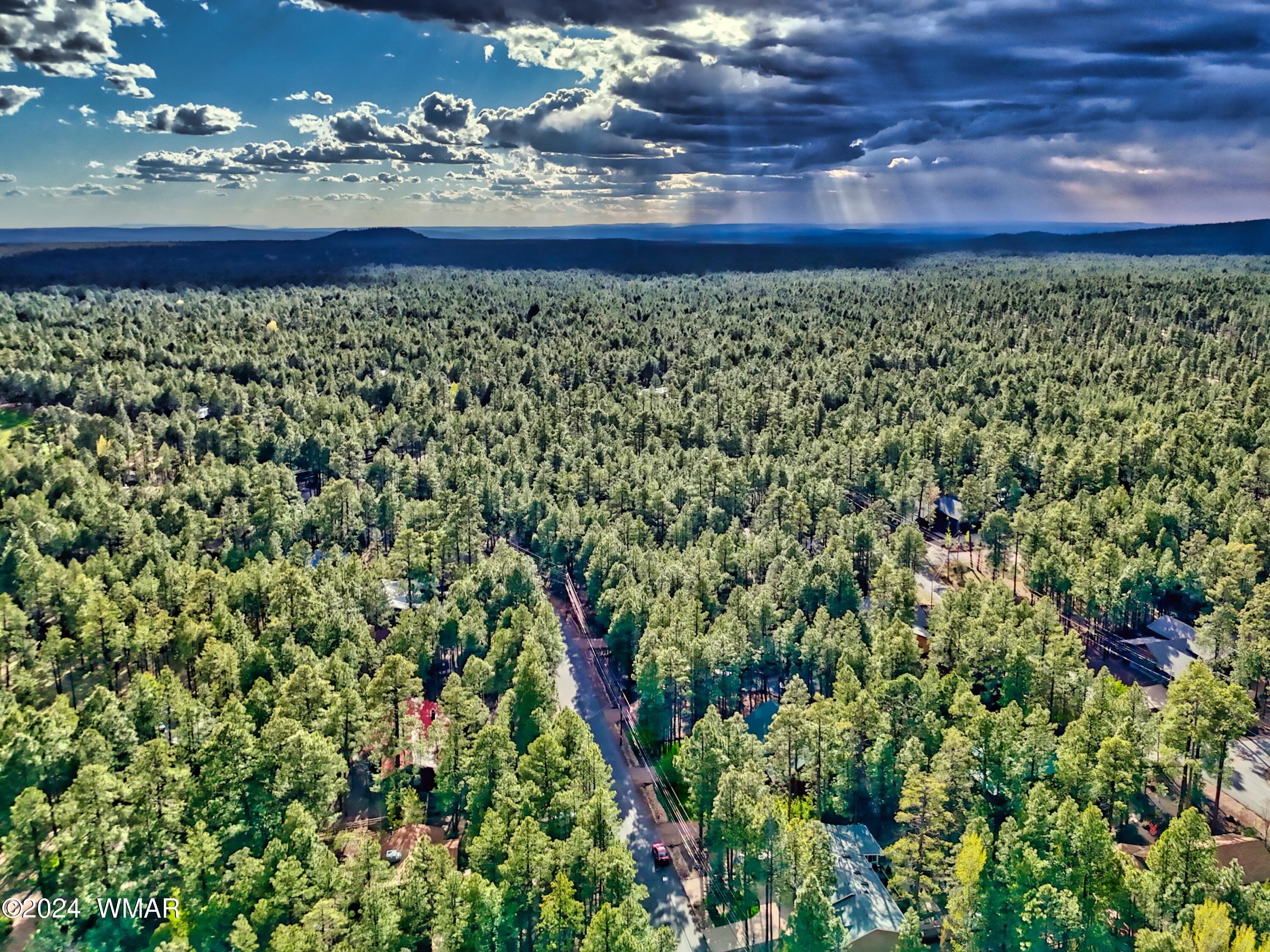 7850 White Oak Road Pinetop, AZ 85935 - Photo 7 of 60 Gallery Image 7