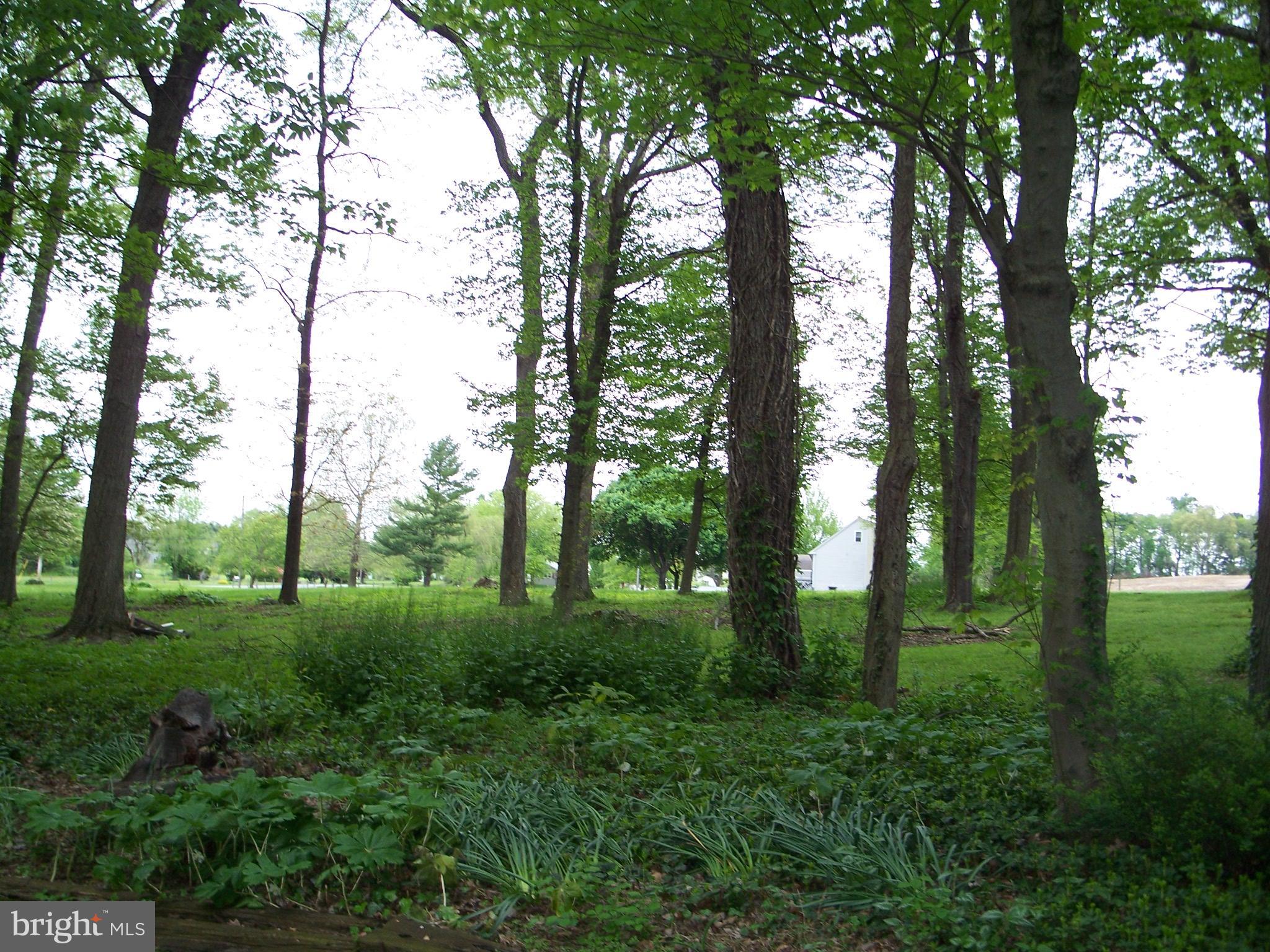1051 Zook Road Atglen, PA 19310 - Photo 11 of 98