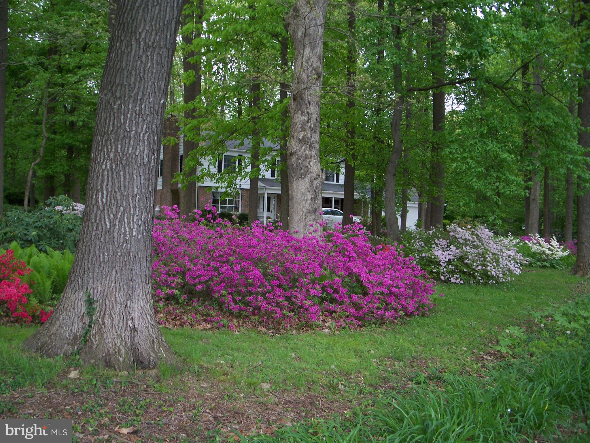 1051 Zook Road Atglen, PA 19310 - Photo 3 of 98