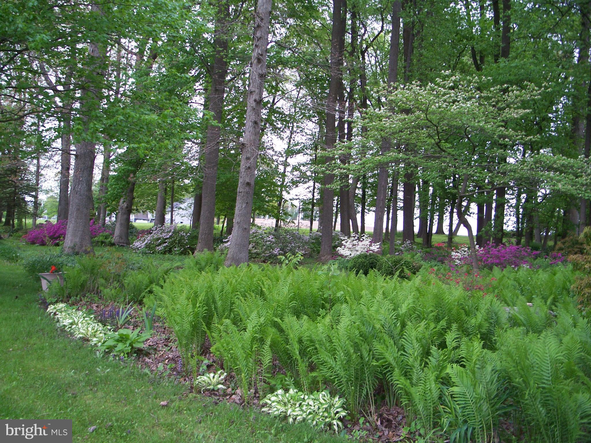 1051 Zook Road Atglen, PA 19310 - Photo 5 of 98