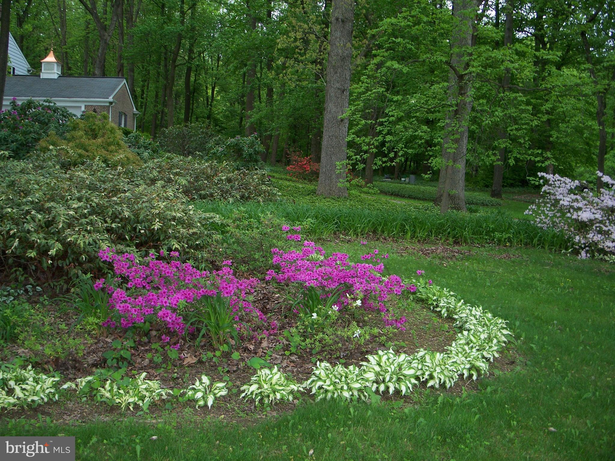 1051 Zook Road Atglen, PA 19310 - Photo 6 of 98