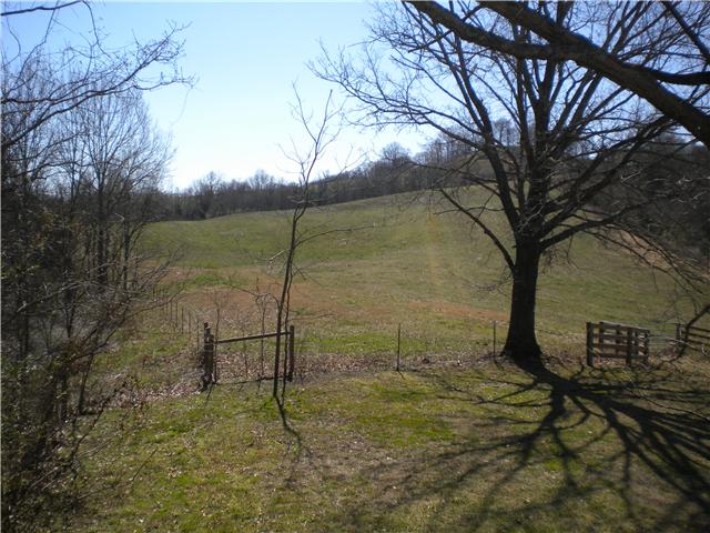 331 Clear Creek Road Pulaski, TN 38478 - Photo 12 of 12 View from deck