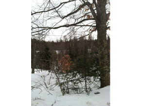 30.20-2 Blaney Road Bethlehem, NH 03574 - Photo 12 of 23 Gallery Image 12