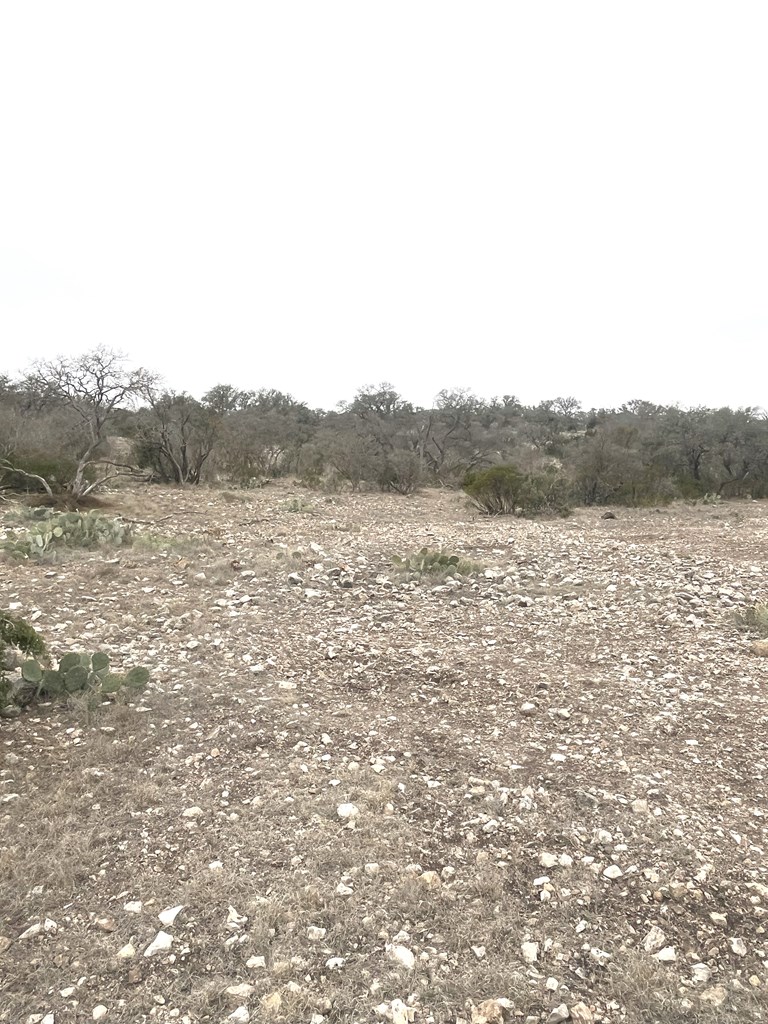 0 Other Rocksprings, TX 78880 - Photo 6 of 61