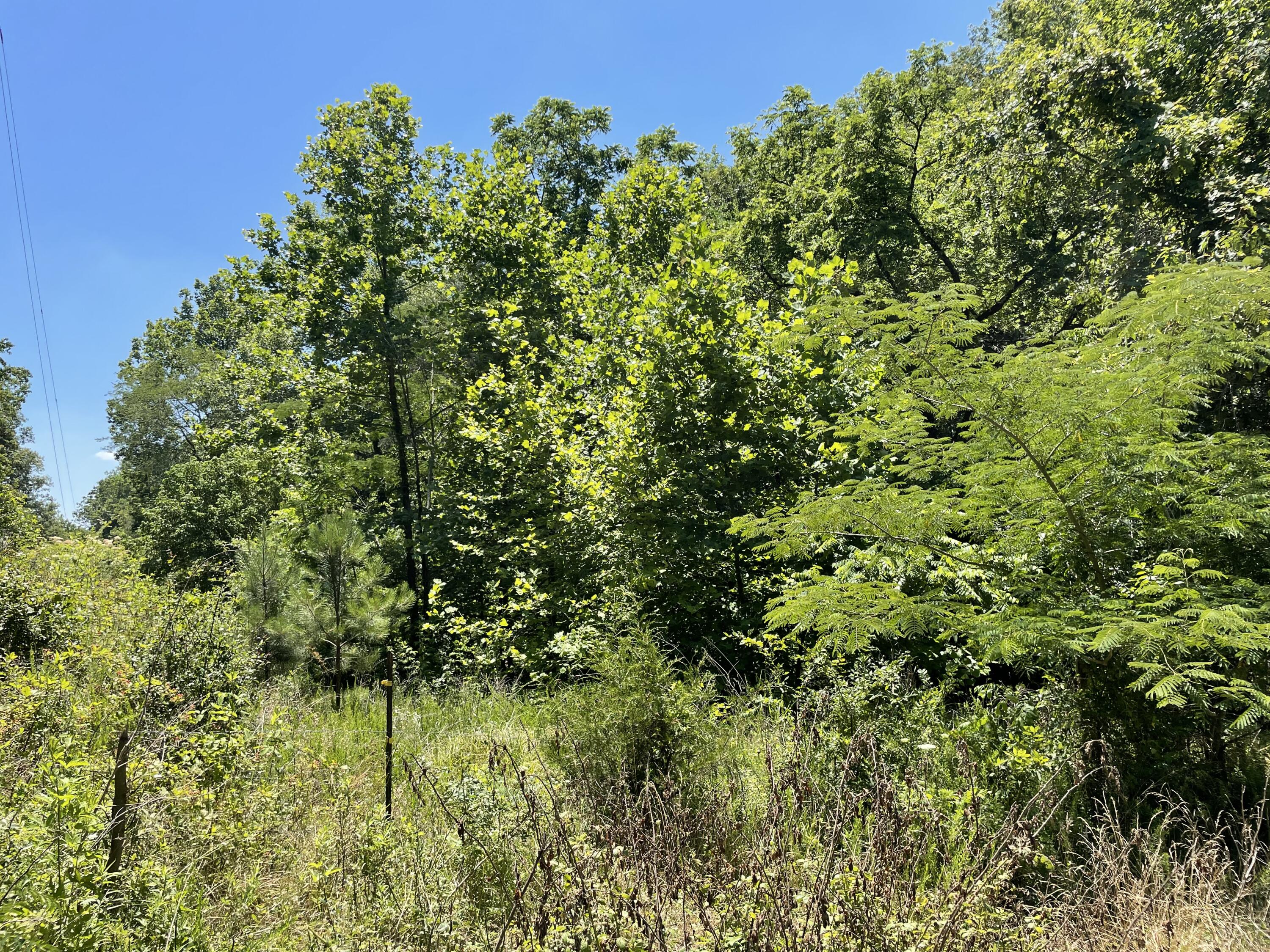 44 County Road Athens, TN 37303 - Photo 1 of 3 IMG_2951