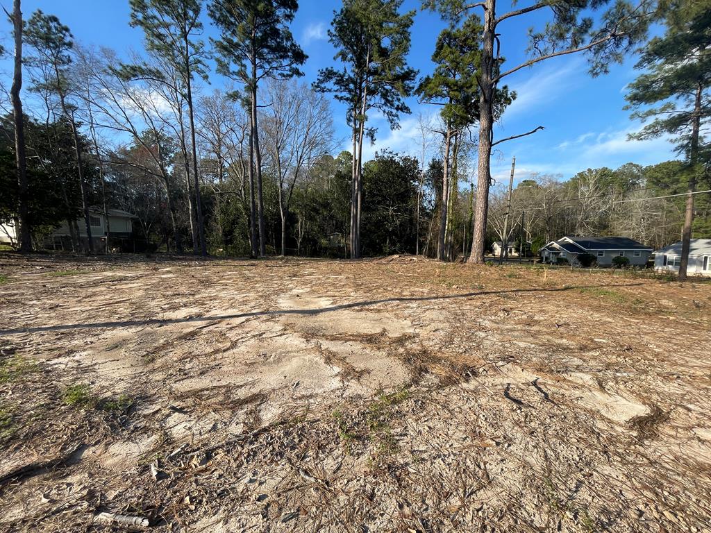 0 Phillips Terrace Dothan, AL 36303 - Photo 2 of 4