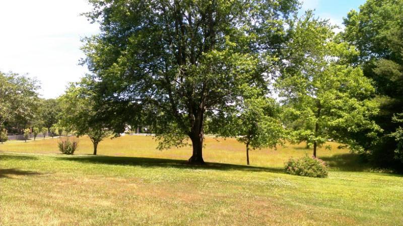 638 Johnson Road Oliver Springs, TN 37840 - Photo 15 of 39 IMAG3914