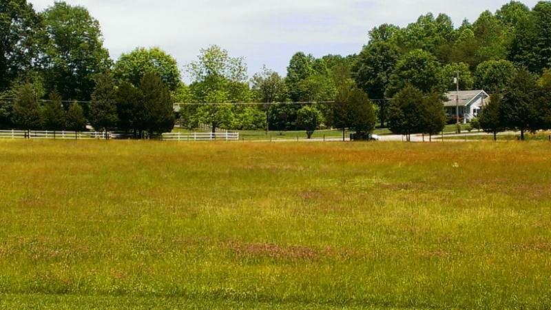 638 Johnson Road Oliver Springs, TN 37840 - Photo 16 of 39 IMAG3918 (1)
