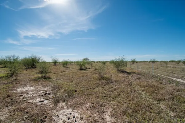 a view of a field with an ocean