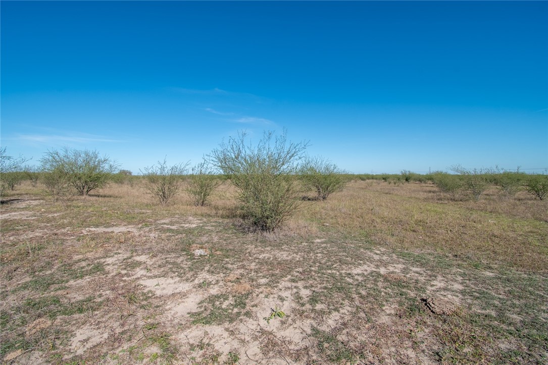 0 Tract 11 Fm 666 Road Robstown, TX 78380 - Photo 15 of 19 a view of mountain with lake view