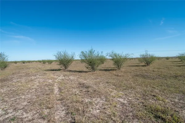 a view of a field with an ocean