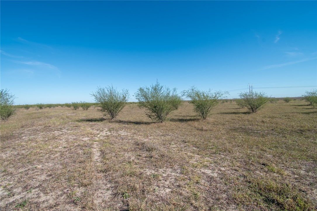 0 Tract 11 Fm 666 Road Robstown, TX 78380 - Photo 16 of 19 a view of a field with an ocean