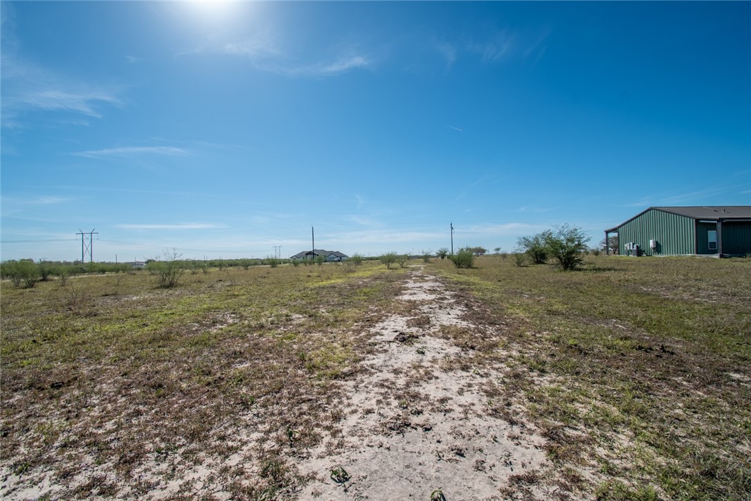 0 Tract 11 Fm 666 Road Robstown, TX 78380 - Photo 17 of 19