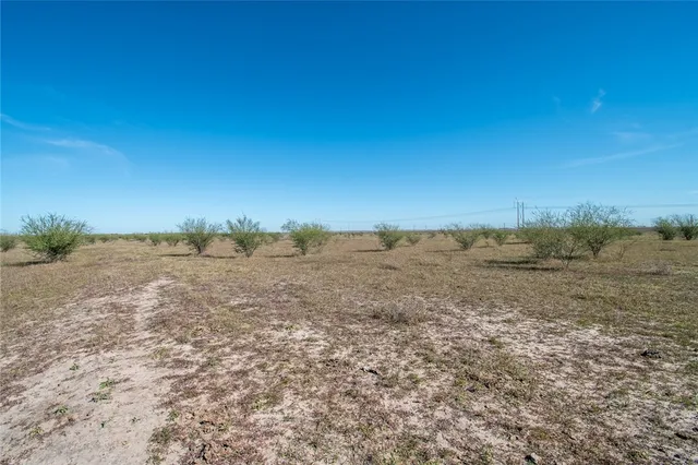a view of an outdoor space and a yard