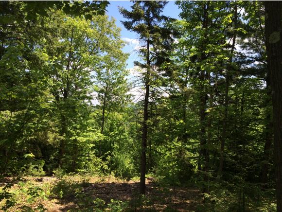 Lot 031 Concord End Road Hillsborough, NH 03244 - Photo 3 of 12