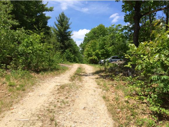 Lot 031 Concord End Road Hillsborough, NH 03244 - Photo 4 of 12