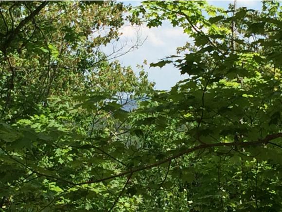 Lot 031 Concord End Road Hillsborough, NH 03244 - Photo 5 of 12