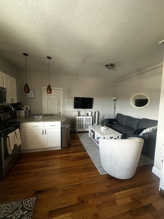 199 Athens Street, Unit 3 Boston, MA 02127 - Photo 2 of 18 a living room with furniture and a flat screen tv