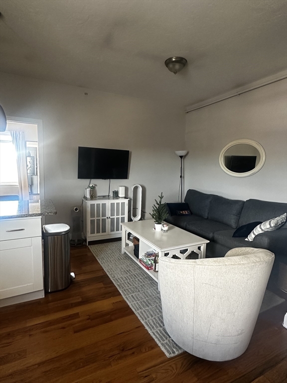 199 Athens Street, Unit 3 Boston, MA 02127 - Photo 3 of 18 a living room with furniture and a flat screen tv