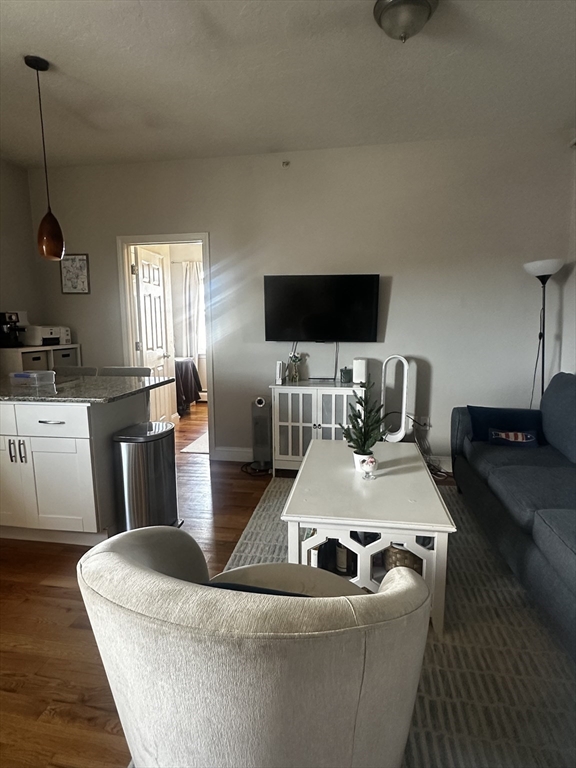 199 Athens Street, Unit 3 Boston, MA 02127 - Photo 7 of 18 a living room with furniture and a flat screen tv