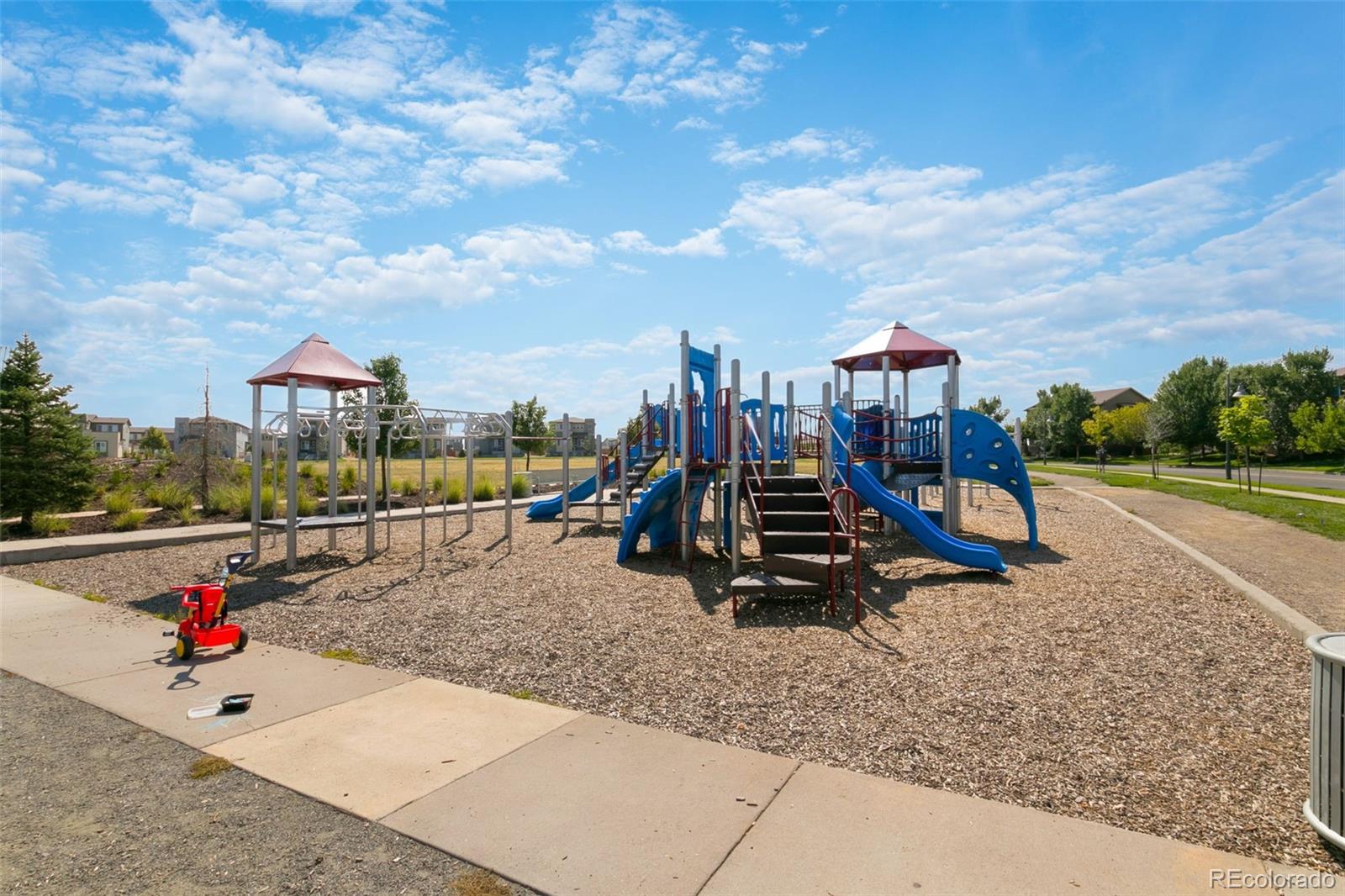 9907 Telluride Street Commerce City, CO 80022 - Photo 49 of 50