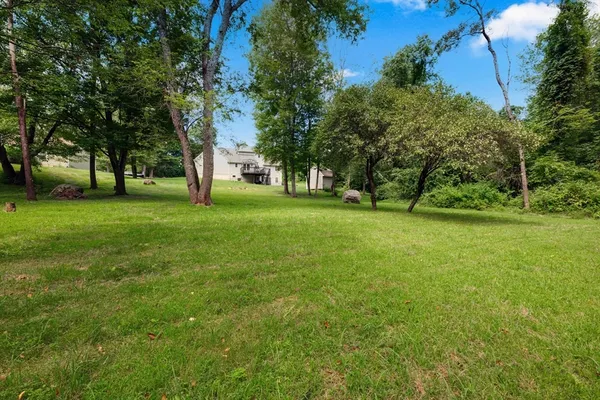 a view of a backyard with a garden and trees