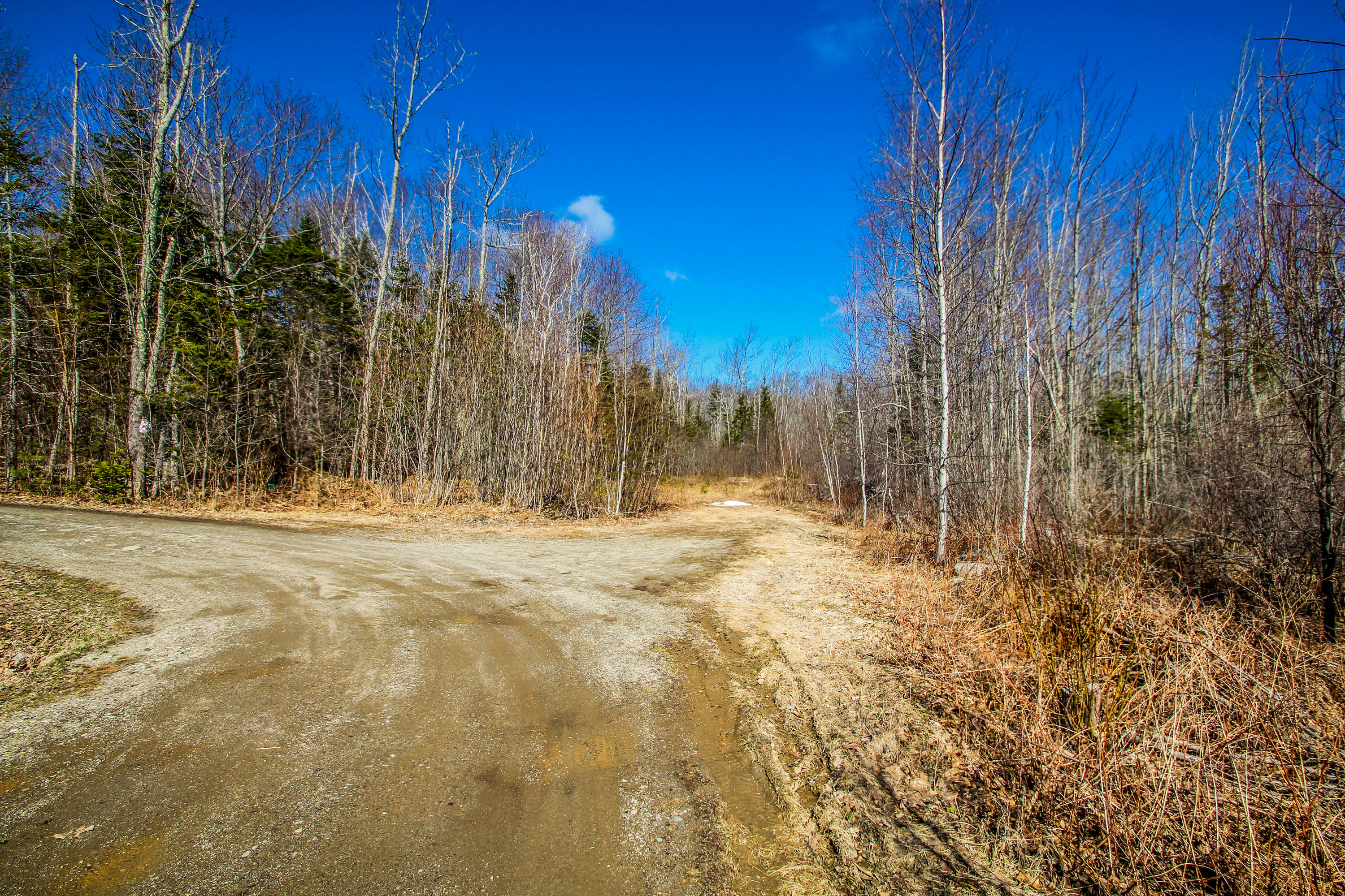 Lot 21 Belfast Road Northport, ME 04849 - Photo 4 of 23 Belfast Rd.-17