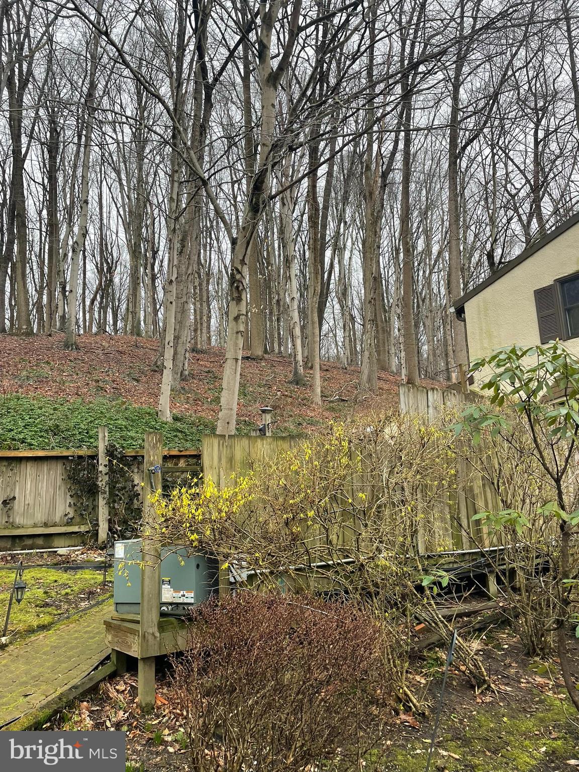 1127 Kaolin Road Avondale, PA 19311 - Photo 5 of 31 a backyard of a house with lots of green space