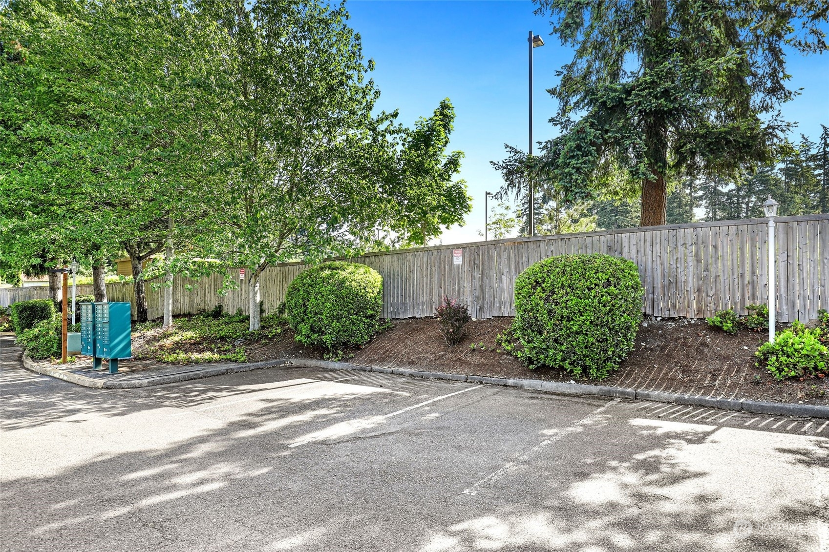 1830 South 336th Street, Unit C201 Federal Way, WA 98003 - Photo 26 of 30 a view of a street with potted plants and large trees