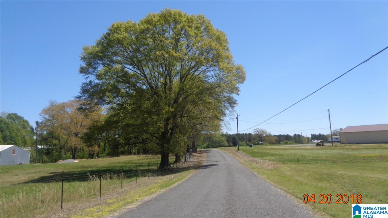 1261 Painter Road Altoona, AL 35952 - Photo 29 of 29