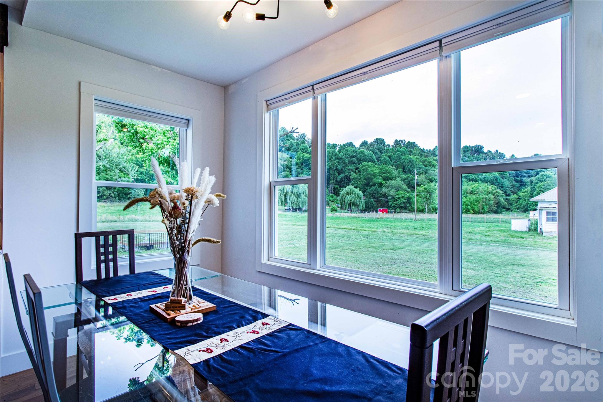16 Riverside Drive Barnardsville, NC 28709 - Photo 16 of 44